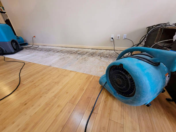 Professional Ceiling Water Damage Repair technician working in Spencer, IA