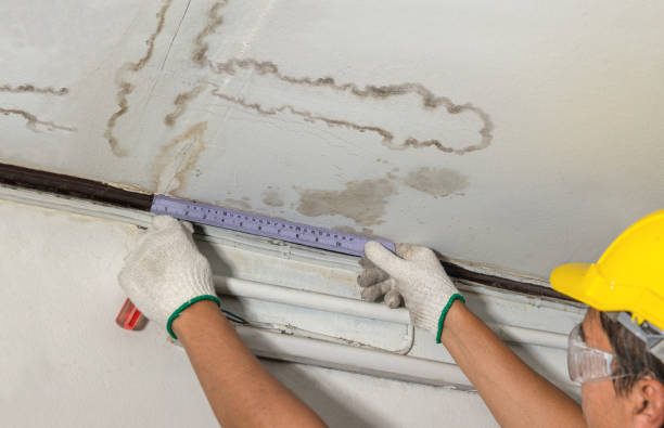 Affordable Ceiling Water Damage Repair solutions in Spencer, IA